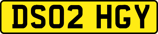 DS02HGY