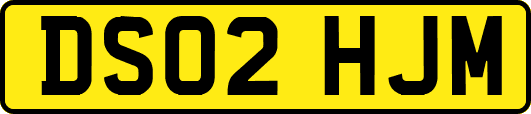 DS02HJM