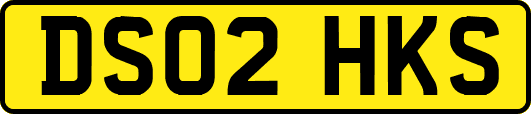 DS02HKS