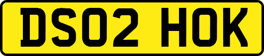 DS02HOK