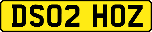 DS02HOZ