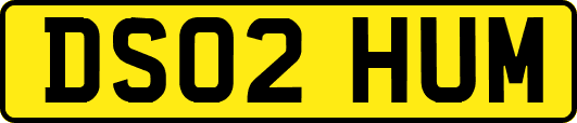 DS02HUM