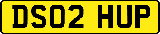 DS02HUP