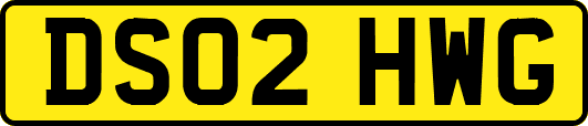 DS02HWG
