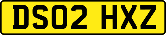 DS02HXZ