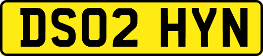 DS02HYN
