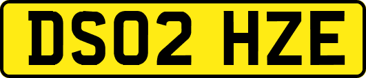 DS02HZE