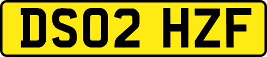 DS02HZF