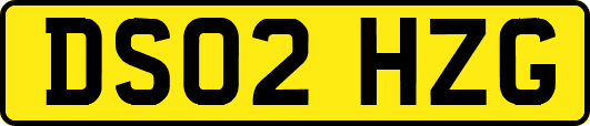 DS02HZG