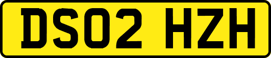 DS02HZH