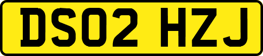 DS02HZJ