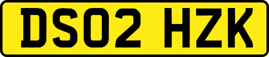 DS02HZK
