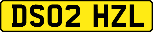 DS02HZL