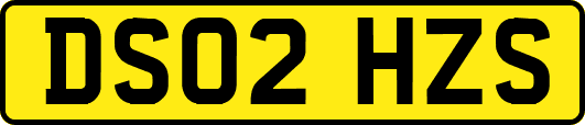 DS02HZS