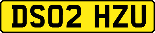 DS02HZU