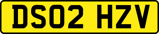 DS02HZV