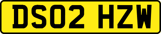 DS02HZW