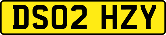 DS02HZY