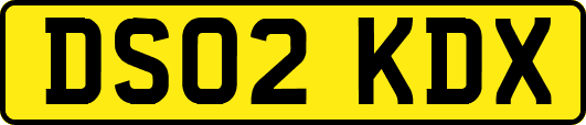 DS02KDX
