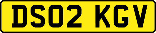 DS02KGV
