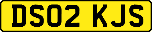 DS02KJS