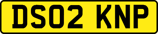 DS02KNP