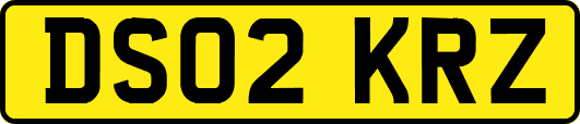 DS02KRZ