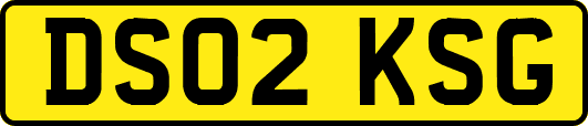 DS02KSG