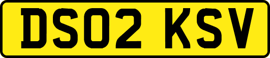 DS02KSV