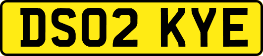 DS02KYE