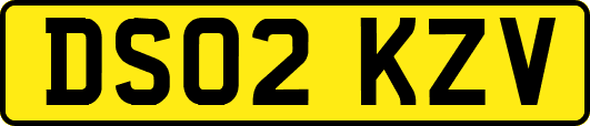 DS02KZV