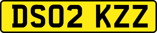 DS02KZZ