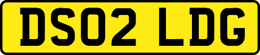 DS02LDG