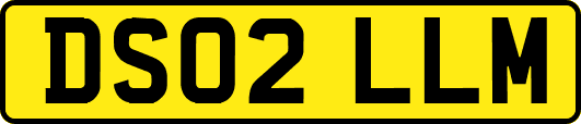 DS02LLM