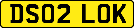 DS02LOK