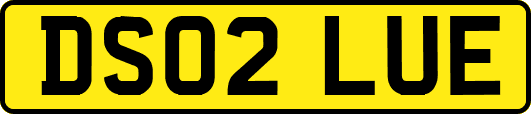 DS02LUE