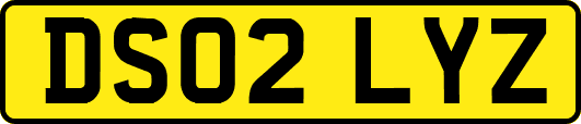 DS02LYZ