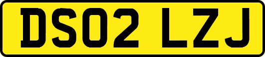 DS02LZJ