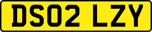 DS02LZY