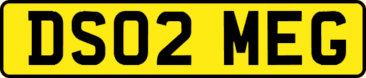 DS02MEG