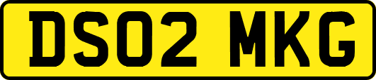 DS02MKG
