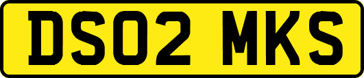 DS02MKS