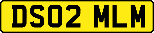 DS02MLM
