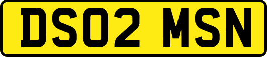 DS02MSN