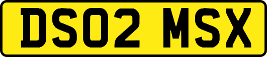 DS02MSX