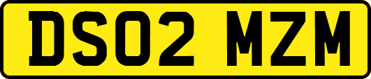 DS02MZM