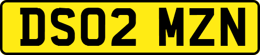 DS02MZN