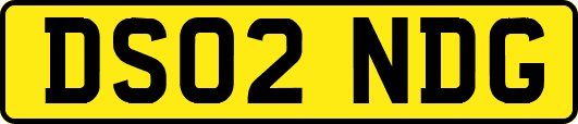 DS02NDG