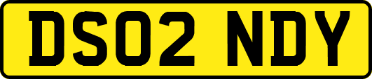 DS02NDY