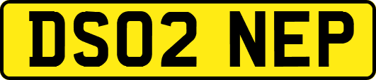 DS02NEP